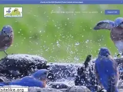 Sites similar to virginiabluebirds.org