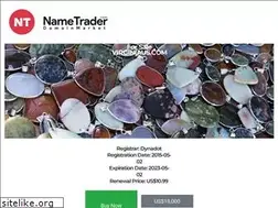 Sites similar to virginiaus.com