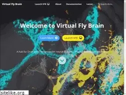 Sites similar to virtualflybrain.org