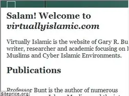 Sites similar to virtuallyislamic.com