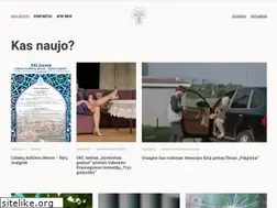 Sites similar to visaginokultura.lt