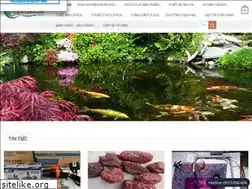 Sites similar to visinhcakoi.com