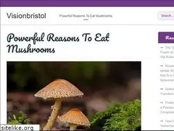 Sites similar to visionbristol.com