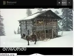 Sites similar to visitbatumi.com
