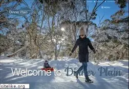 Sites similar to visitdinnerplain.com