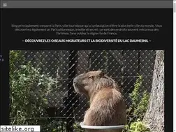 Sites similar to visites-guidees.net