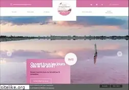 Sites similar to visitesalinsdecamargue.com