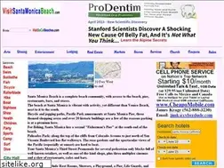 Sites similar to visitsantamonicabeach.com