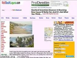 Sites similar to visitsouthlaguna.com