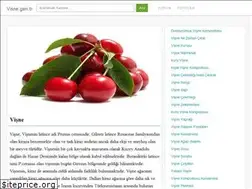 Sites similar to visne.gen.tr
