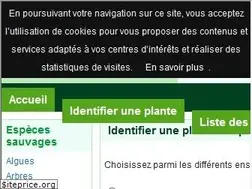 Sites similar to visoflora.com