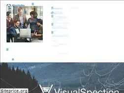 Sites similar to visualspection.com