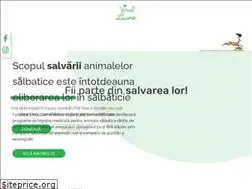Sites similar to visulluanei.org