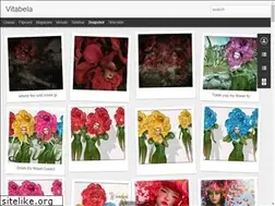 Sites similar to vitabela-vitabela.blogspot.com