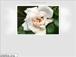 Sites similar to vitalbodies.com