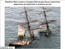 Sites similar to vitamediagroup.ru