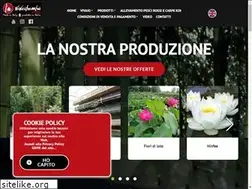 Sites similar to vivaibambustore.com