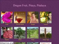 Sites similar to vivapitaya.com