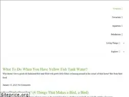 Sites similar to vivariumtips.com