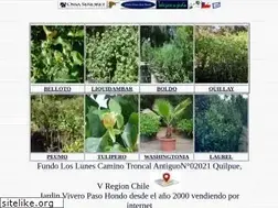 Sites similar to viveropasohondo.cl