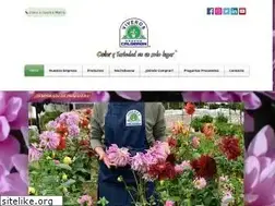 Sites similar to viverosrcalderon.com