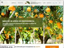 Sites similar to viverossevilla.com