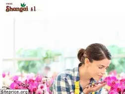 Sites similar to viverosshangai.es