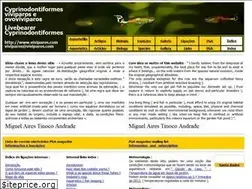 Sites similar to viviparos.com