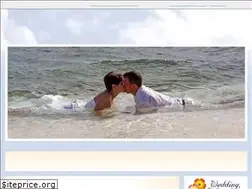 Sites similar to viweddings.com