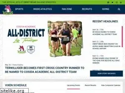 Sites similar to vixenathletics.com