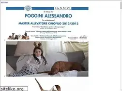 Sites similar to vizsla.it