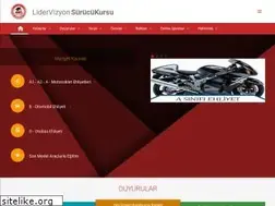 Sites similar to vizyonsurucukursu.net