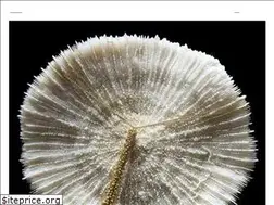 Sites similar to vjemy.cz