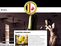 Sites similar to vlaamseboksliga.com