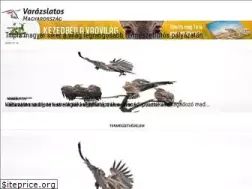 Sites similar to vm-magazin.hu