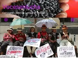 Sites similar to vocesenlucha.com