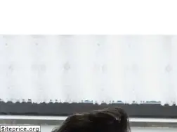 Sites similar to voisinssolidaires.be