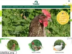 Sites similar to volador.fr