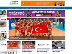Sites similar to voleybolextra.com