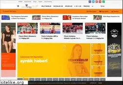 Sites similar to voleybolgundem.com