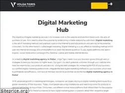Sites similar to volgatigris.com