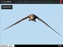 Sites similar to volkanakgul.com