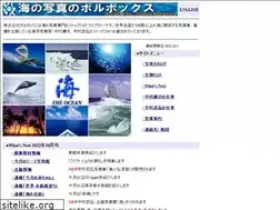 Sites similar to volvox.co.jp