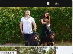 Sites similar to vombustoshause.com