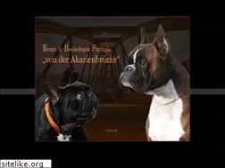 Sites similar to von-der-akazienbruecke.de