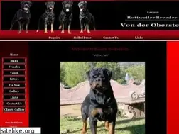 Sites similar to vonderobersten.com