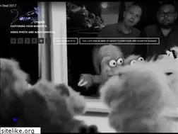 Sites similar to vonesperstudios.com