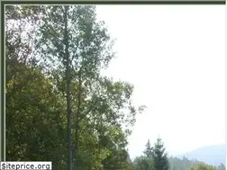 Sites similar to vonsaintpaul.com