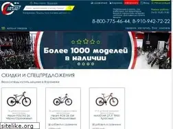 Sites similar to voronezhvelo.ru