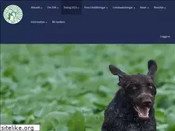 Sites similar to vorsteh.se